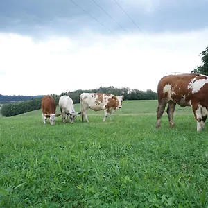 Auszeit-wohnung In Idyllischer Lage Auf Dem Generationenhof Feuchtwangen